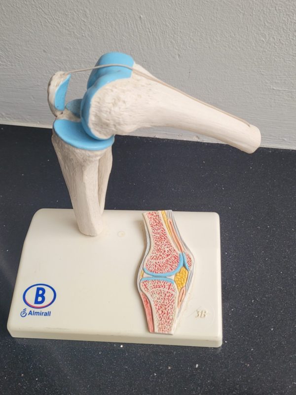 Plastiek kniegewricht - Afbeelding 3