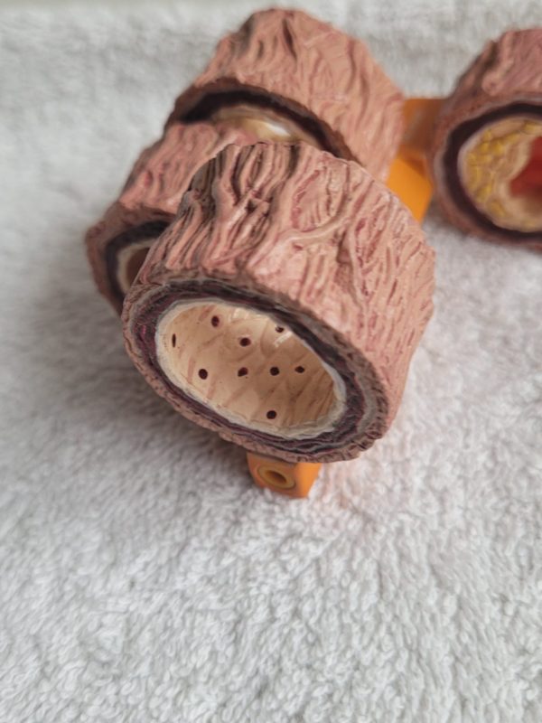 Plastiek arterie en ziekte - Afbeelding 3