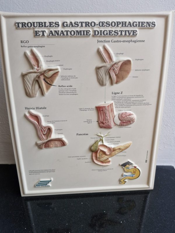 Medische plaat gastro enterale problemen